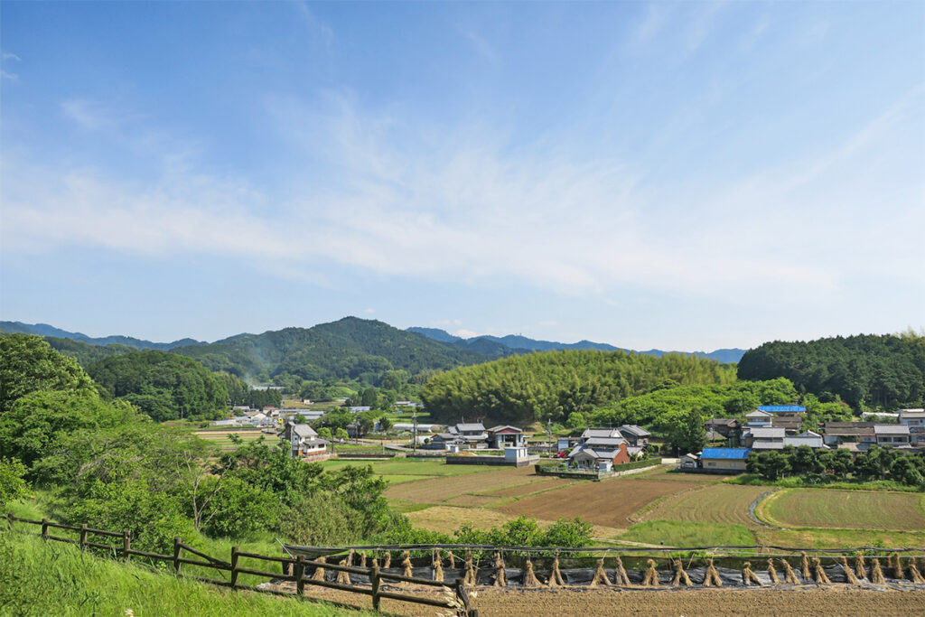 風景の画像